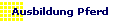 Ausbildung Pferd