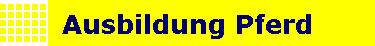 Ausbildung Pferd