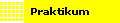 Praktikum